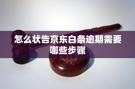 怎么状告京东白条逾期需要哪些步骤