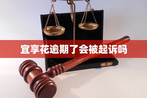 宜享花逾期了会被起诉吗