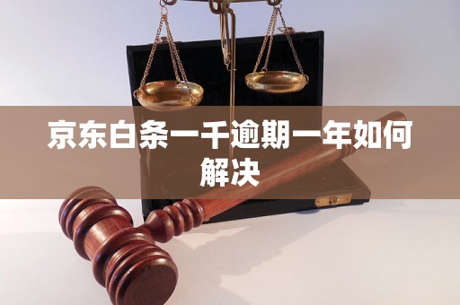 京东白条一千逾期一年如何解决