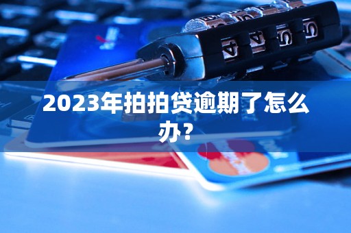 2023年拍拍贷逾期了怎么办？