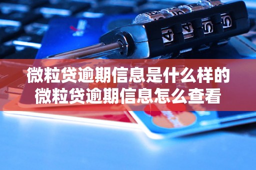 微粒贷逾期信息是什么样的微粒贷逾期信息怎么查看