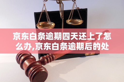 京东白条逾期四天还上了怎么办,京东白条逾期后的处理流程