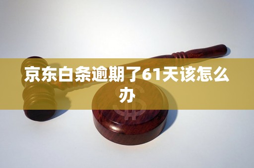 京东白条逾期了61天该怎么办