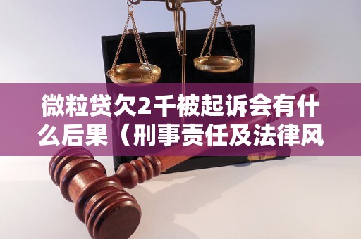 微粒贷欠2千被起诉会有什么后果（刑事责任及法律风险分析）