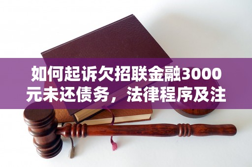 如何起诉欠招联金融3000元未还债务，法律程序及注意事项