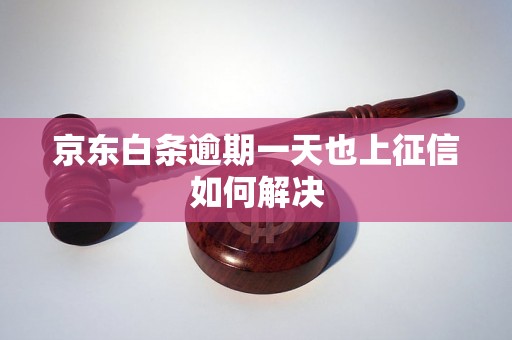 京东白条逾期一天也上征信如何解决