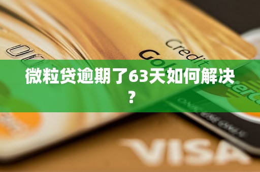 微粒贷逾期了63天如何解决？