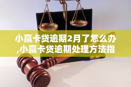 小赢卡贷逾期2月了怎么办,小赢卡贷逾期处理方法指南