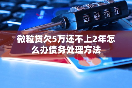 微粒贷欠5万还不上2年怎么办债务处理方法