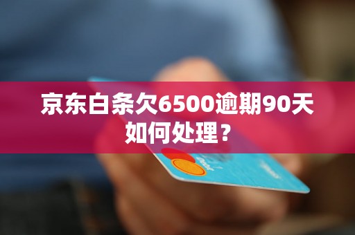 京东白条欠6500逾期90天如何处理？