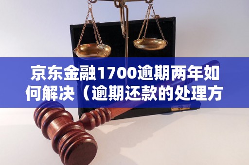 京东金融1700逾期两年如何解决（逾期还款的处理方法）