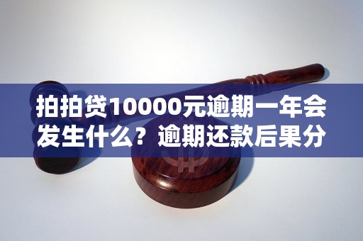 拍拍贷10000元逾期一年会发生什么？逾期还款后果分析