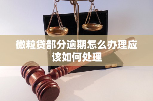 微粒贷部分逾期怎么办理应该如何处理