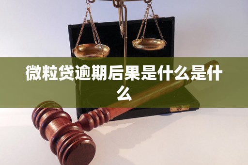 微粒贷逾期后果是什么是什么