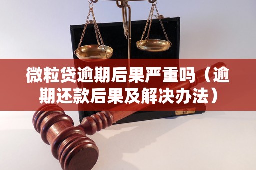 微粒贷逾期后果严重吗（逾期还款后果及解决办法）