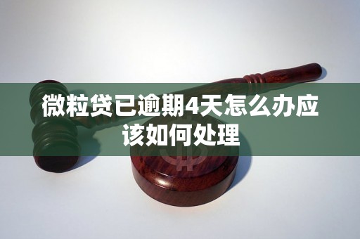 微粒贷已逾期4天怎么办应该如何处理