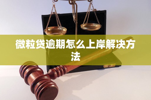 微粒贷逾期怎么上岸解决方法