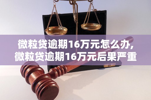 微粒贷逾期16万元怎么办,微粒贷逾期16万元后果严重吗