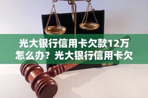 光大银行信用卡欠款12万怎么办？光大银行信用卡欠款12万该如何还清？