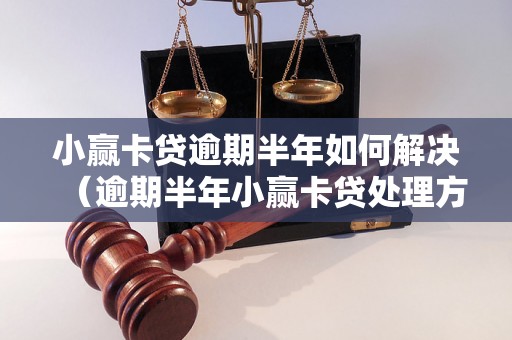 小赢卡贷逾期半年如何解决（逾期半年小赢卡贷处理方法）