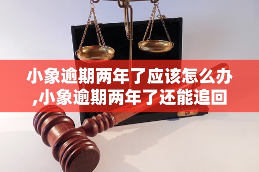 小象逾期两年了应该怎么办,小象逾期两年了还能追回吗