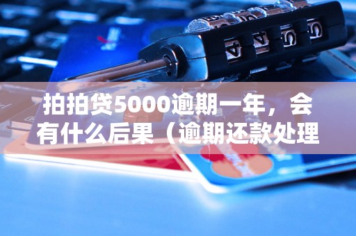 拍拍贷5000逾期一年，会有什么后果（逾期还款处理方式）