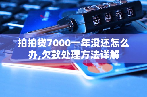 拍拍贷7000一年没还怎么办,欠款处理方法详解