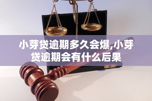 小芽贷逾期多久会爆,小芽贷逾期会有什么后果