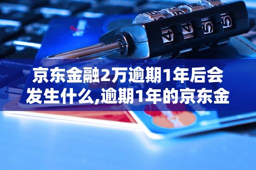 京东金融2万逾期1年后会发生什么,逾期1年的京东金融借款后果