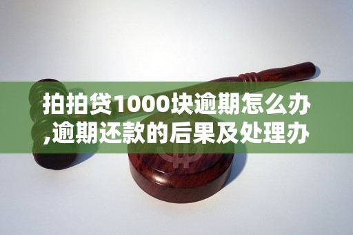 拍拍贷1000块逾期怎么办,逾期还款的后果及处理办法