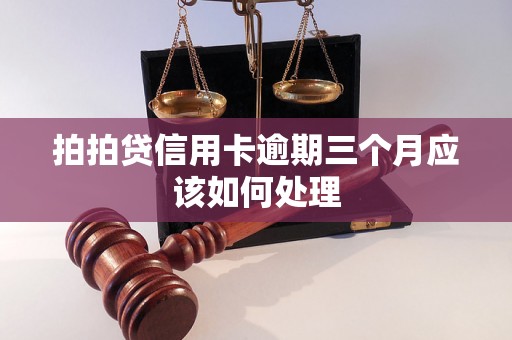 拍拍贷信用卡逾期三个月应该如何处理