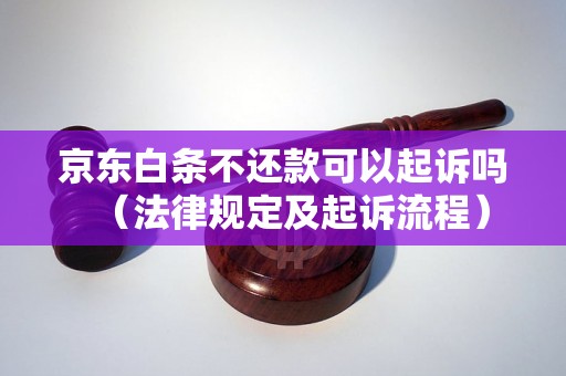 京东白条不还款可以起诉吗（法律规定及起诉流程）