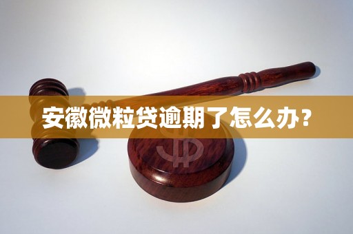 安徽微粒贷逾期了怎么办？