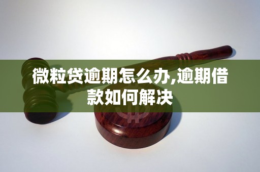 微粒贷逾期怎么办,逾期借款如何解决