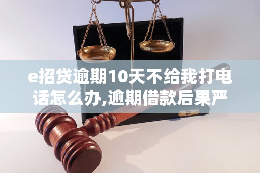 e招贷逾期10天不给我打电话怎么办,逾期借款后果严重吗