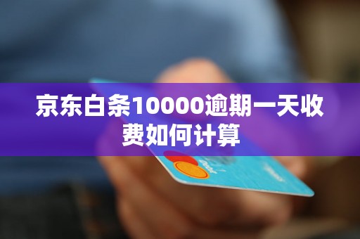 京东白条10000逾期一天收费如何计算