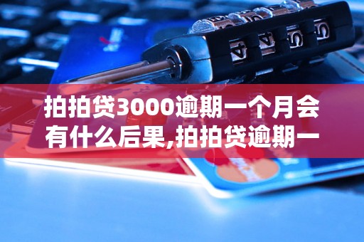 拍拍贷3000逾期一个月会有什么后果,拍拍贷逾期一个月的处理办法