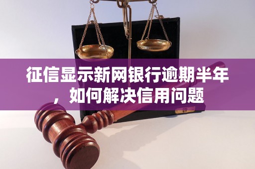 征信显示新网银行逾期半年，如何解决信用问题