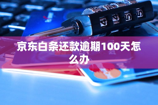 京东白条还款逾期100天怎么办