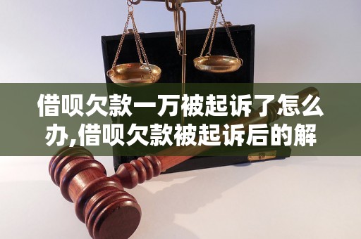 借呗欠款一万被起诉了怎么办,借呗欠款被起诉后的解决方法