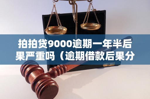 拍拍贷9000逾期一年半后果严重吗（逾期借款后果分析）