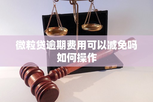 微粒贷逾期费用可以减免吗如何操作