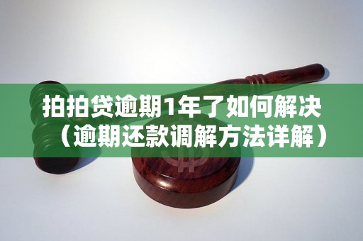 拍拍贷逾期1年了如何解决（逾期还款调解方法详解）