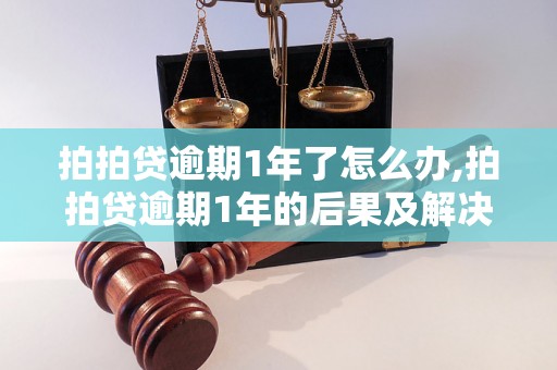 拍拍贷逾期1年了怎么办,拍拍贷逾期1年的后果及解决方法