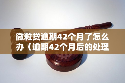 微粒贷逾期42个月了怎么办（逾期42个月后的处理方法）