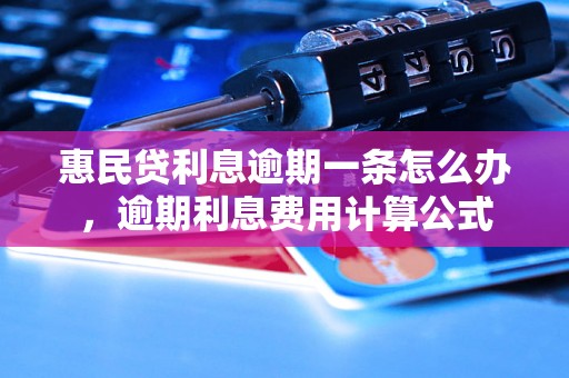 惠民贷利息逾期一条怎么办，逾期利息费用计算公式