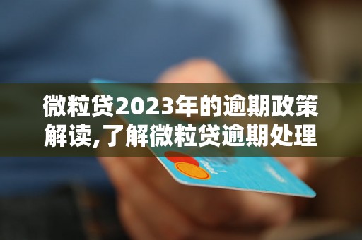 微粒贷2023年的逾期政策解读,了解微粒贷逾期处理规定