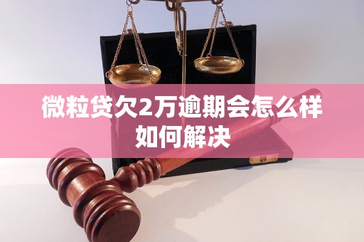 微粒贷欠2万逾期会怎么样如何解决