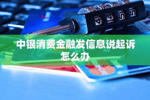 中银消费金融发信息说起诉怎么办