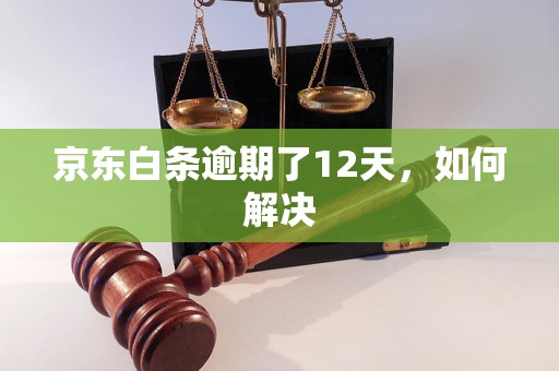 京东白条逾期了12天，如何解决